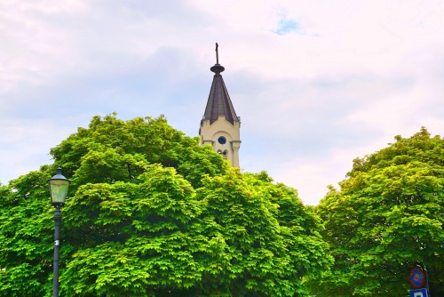 Wzgórze Zamkowe